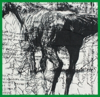 Mapoesie, Horse-ref# L Square